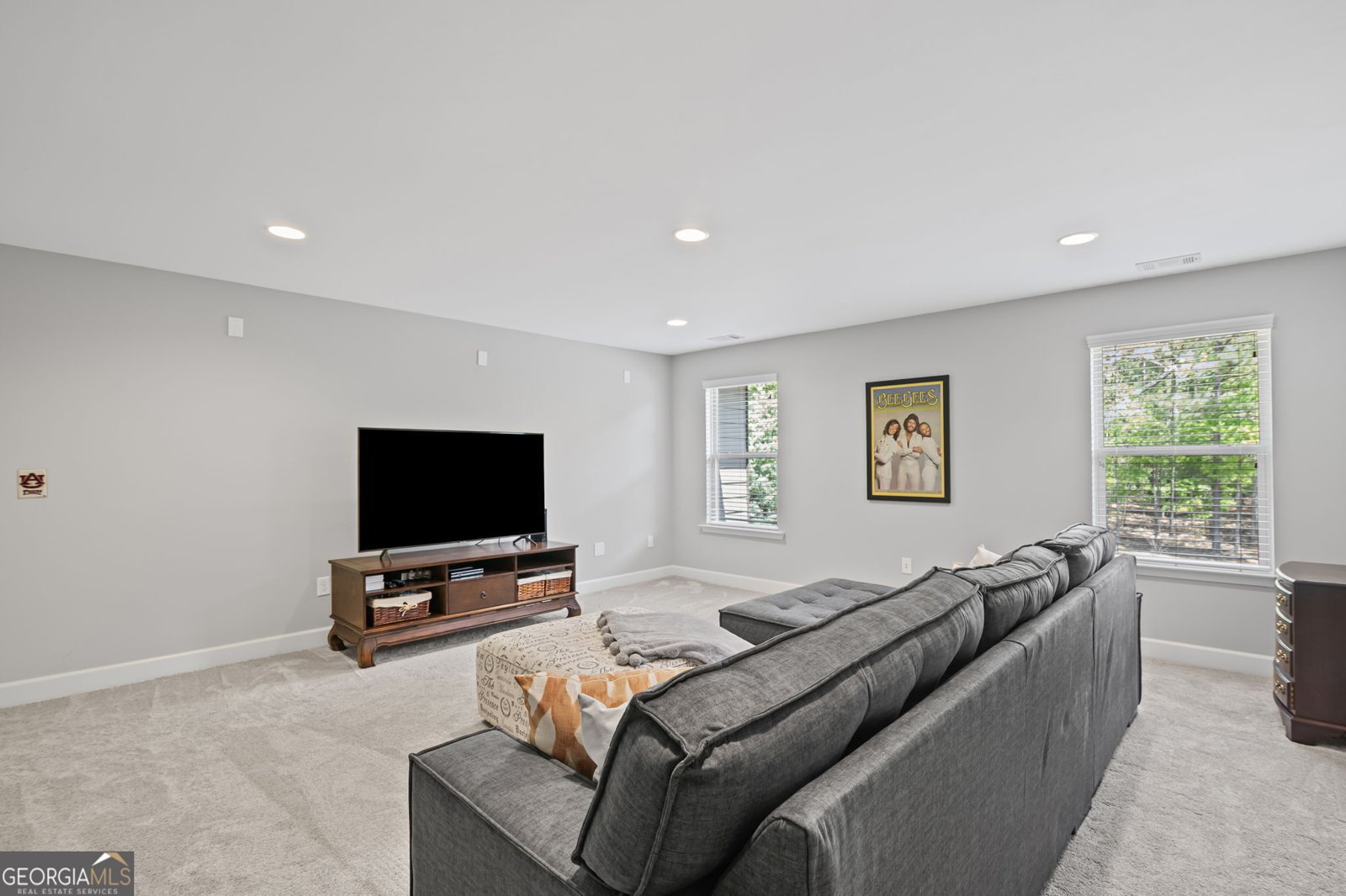 189 Willowleaf Way Sharpsburg - 55