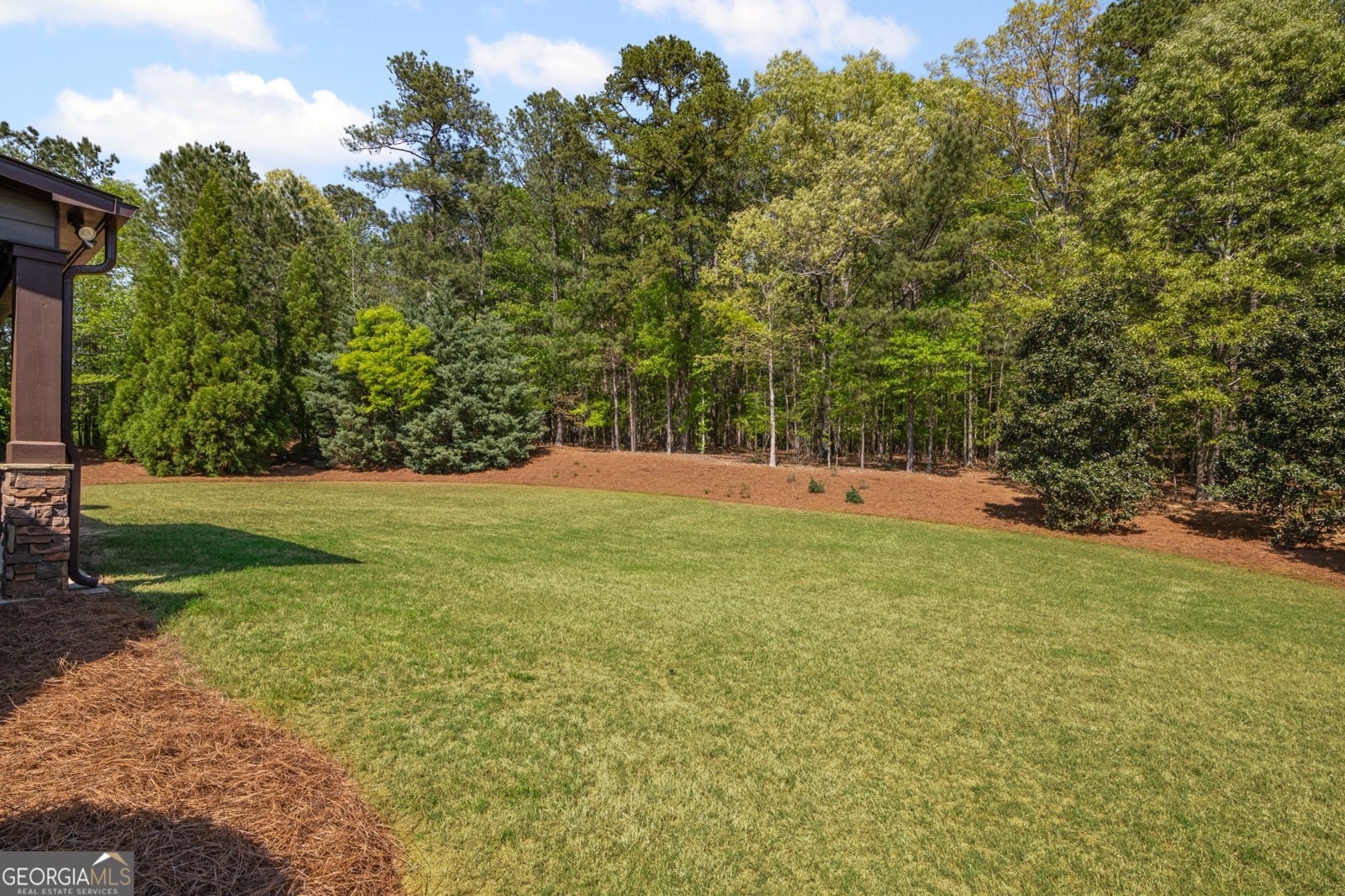 189 Willowleaf Way Sharpsburg - 58