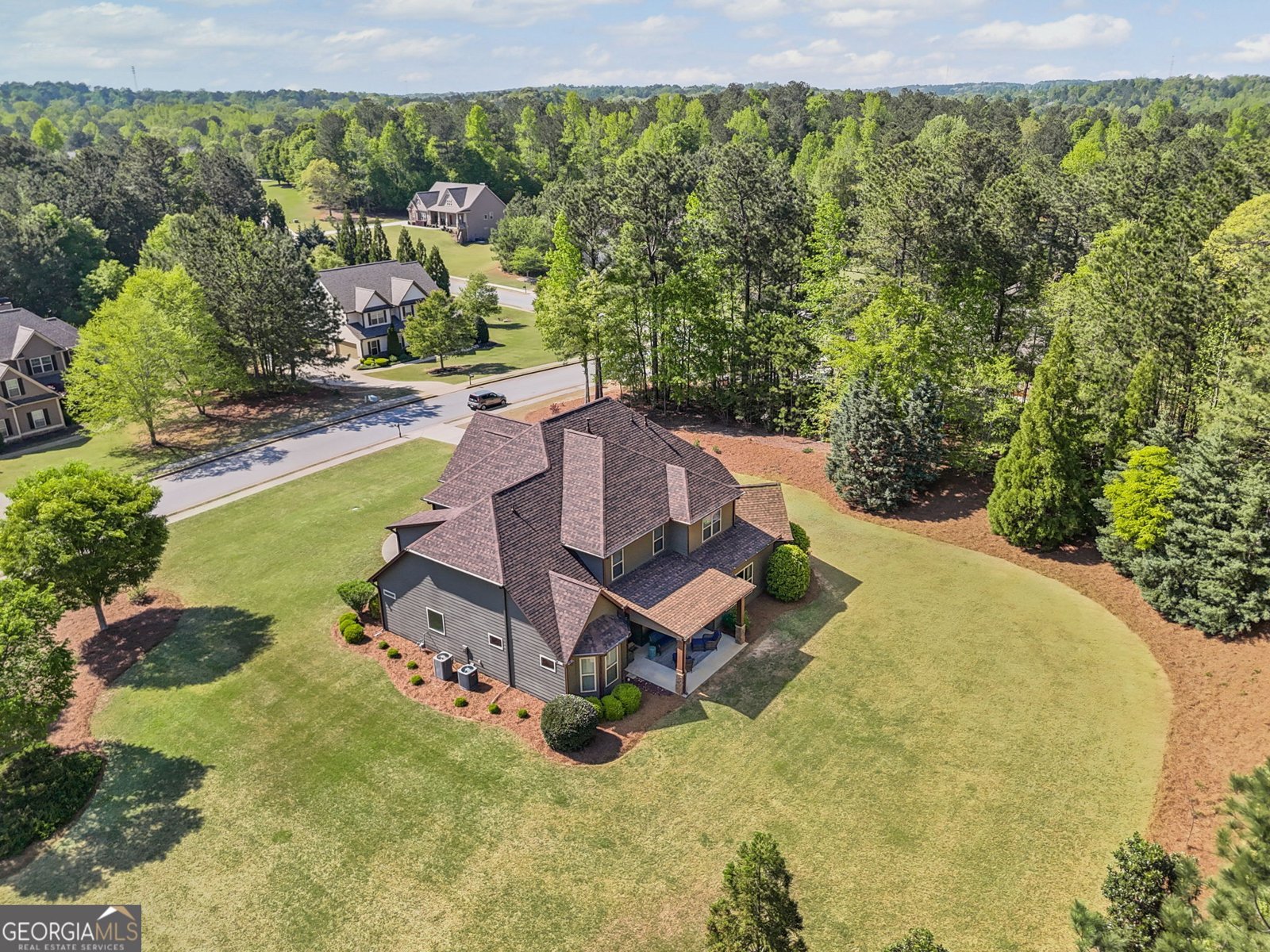 189 Willowleaf Way Sharpsburg - 65