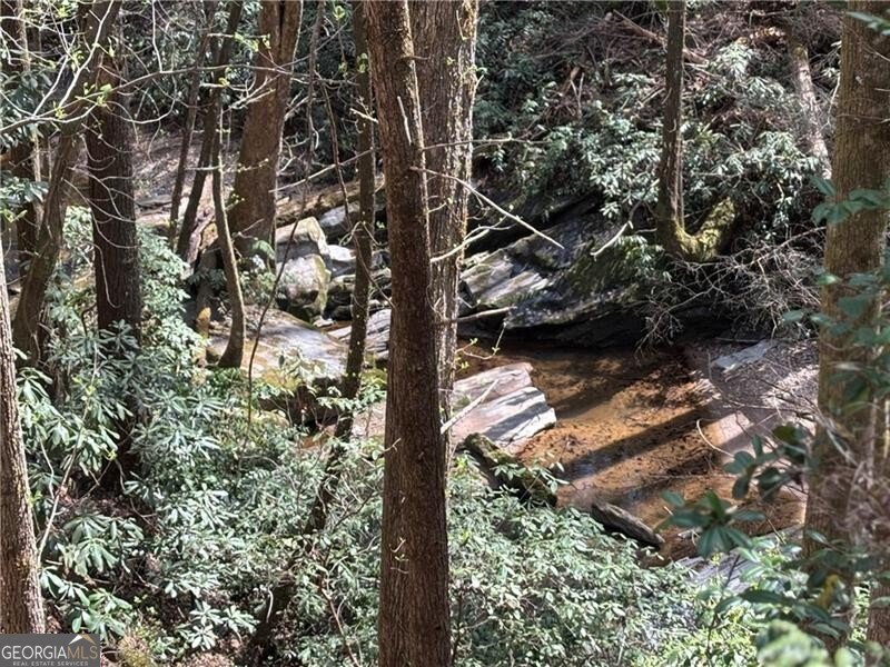 227 River Ridge Road Dahlonega - 62