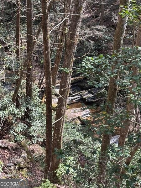 227 River Ridge Road Dahlonega - 63