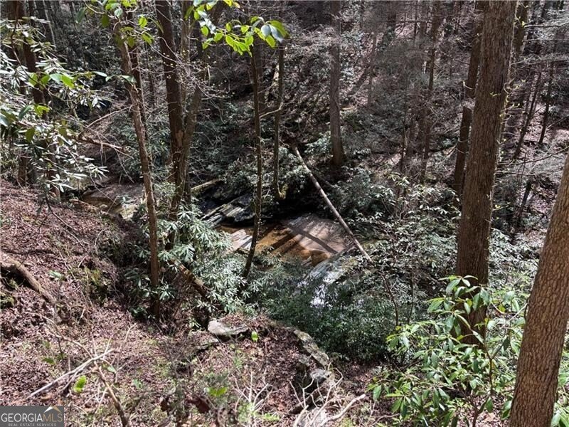 227 River Ridge Road Dahlonega - 64