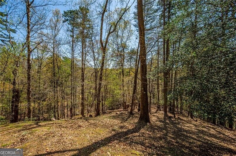 227 River Ridge Road Dahlonega - 66