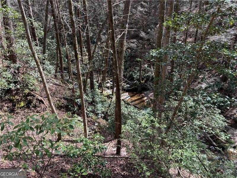 227 River Ridge Road Dahlonega - 67