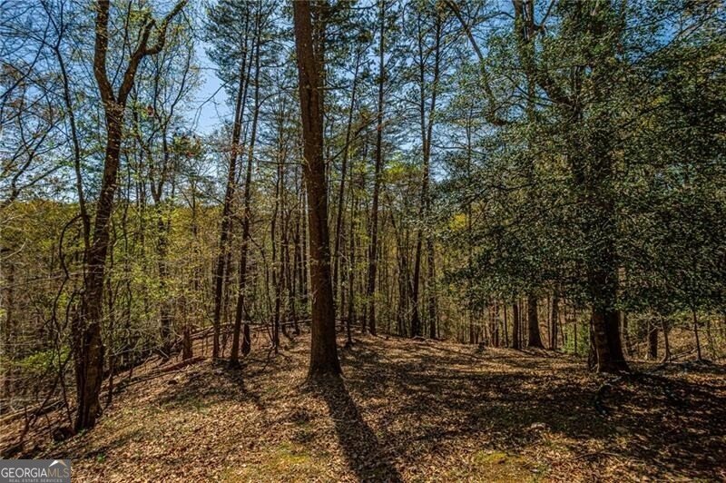 227 River Ridge Road Dahlonega - 68