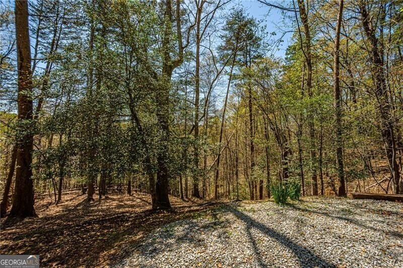 227 River Ridge Road Dahlonega - 70