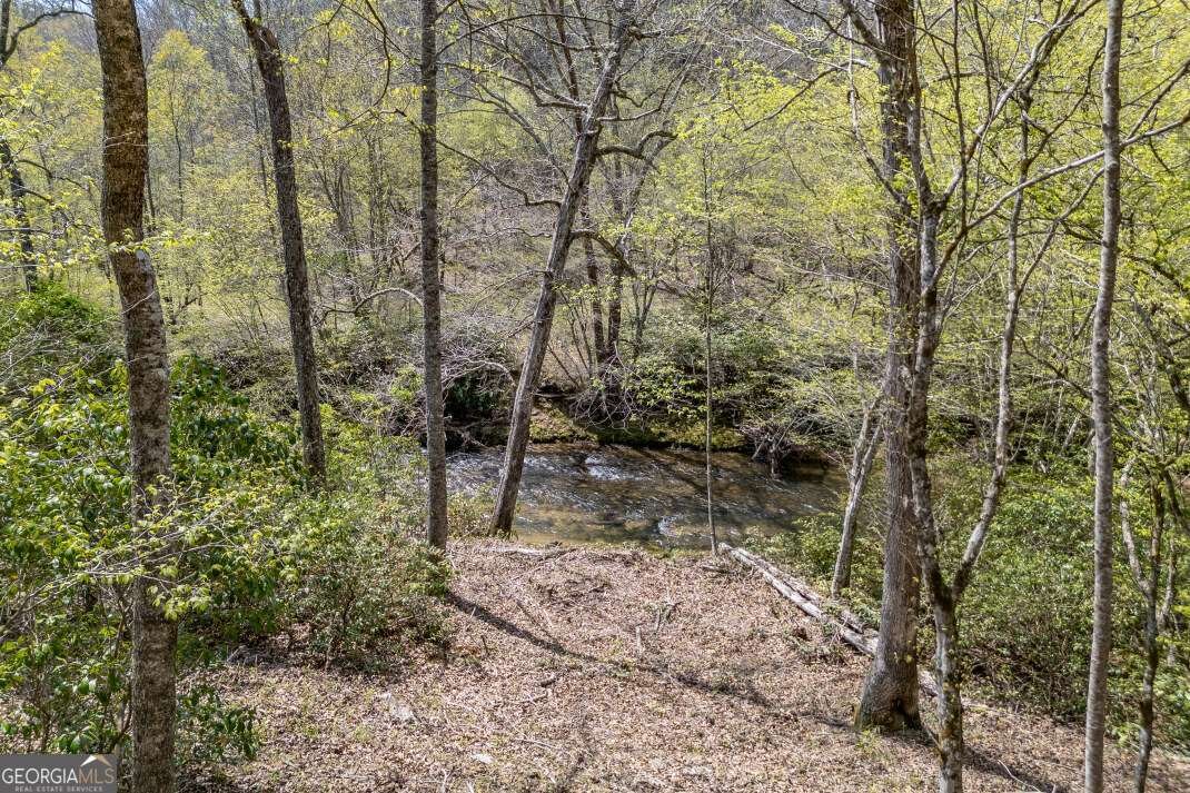 1739 Settlement Road Young Harris - 62