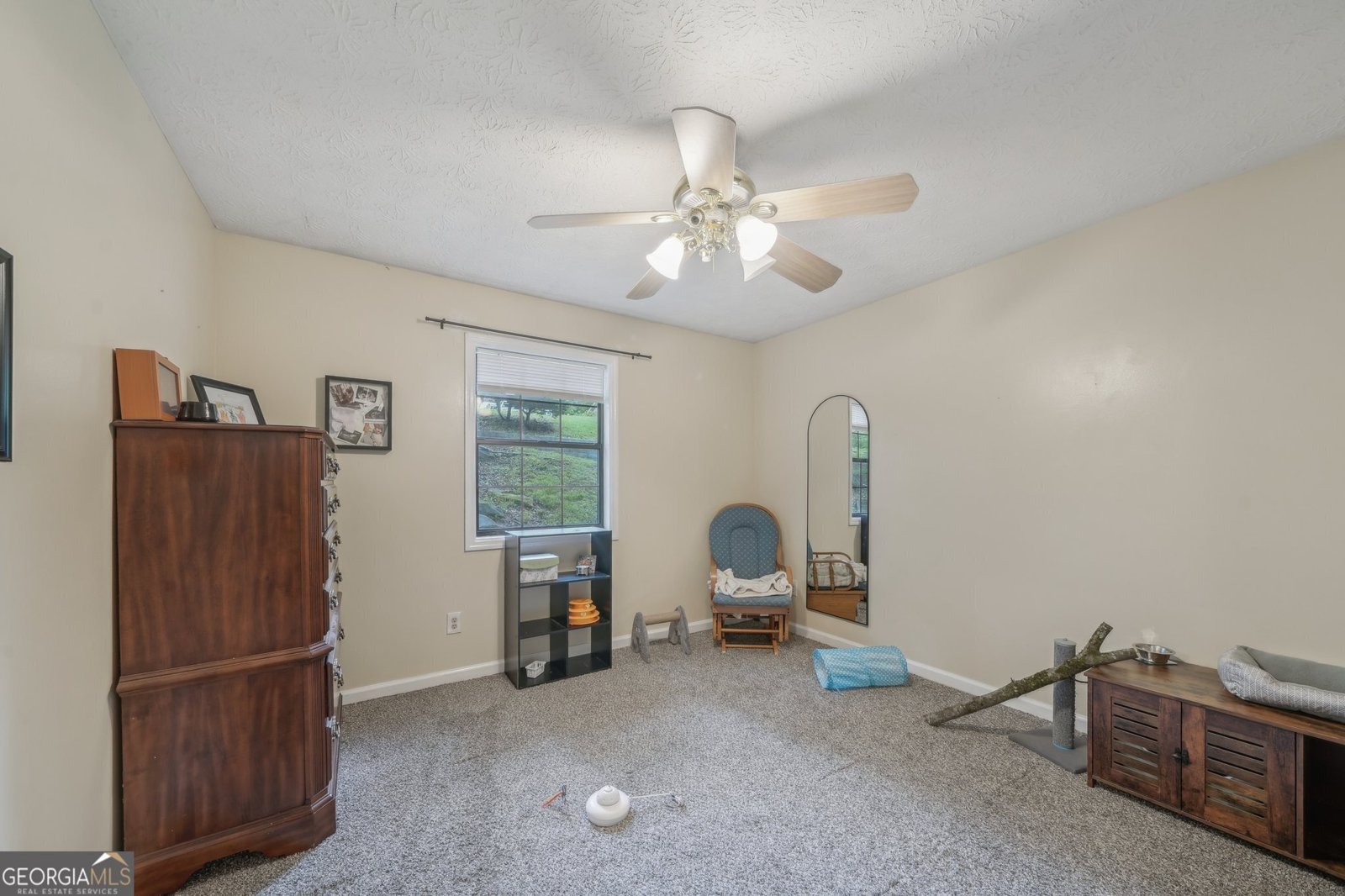 165 Holly Court Loganville - 18