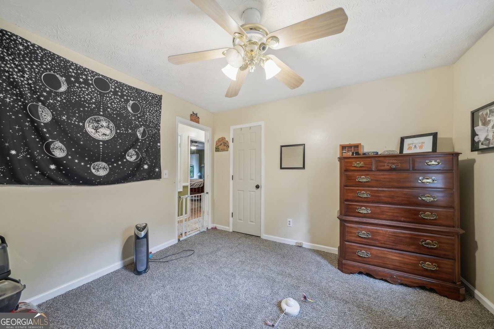165 Holly Court Loganville - 19
