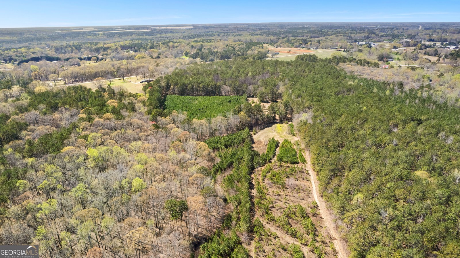 461 Old Jackson Road McDonough - 33