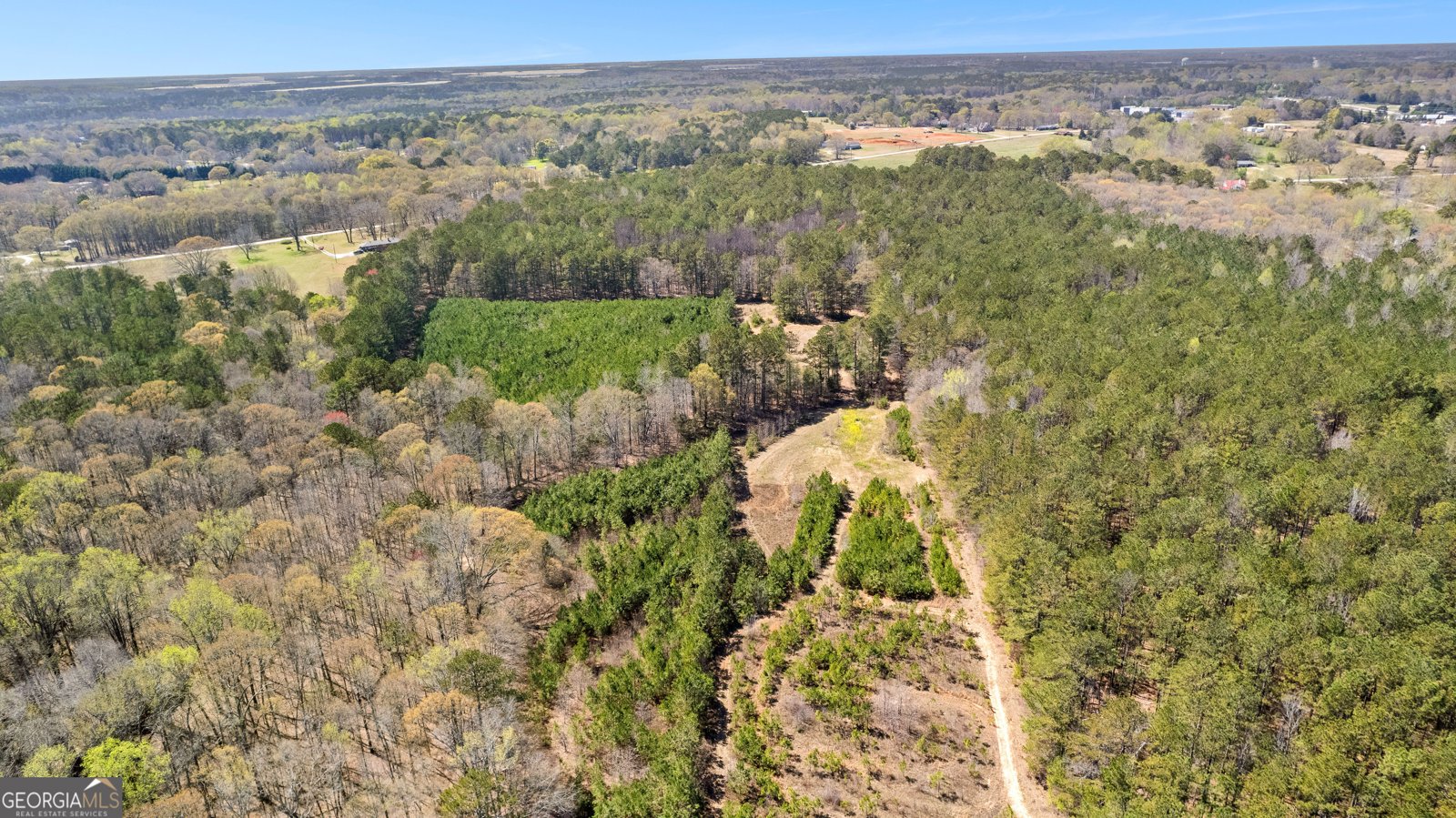 461 Old Jackson Road McDonough - 36