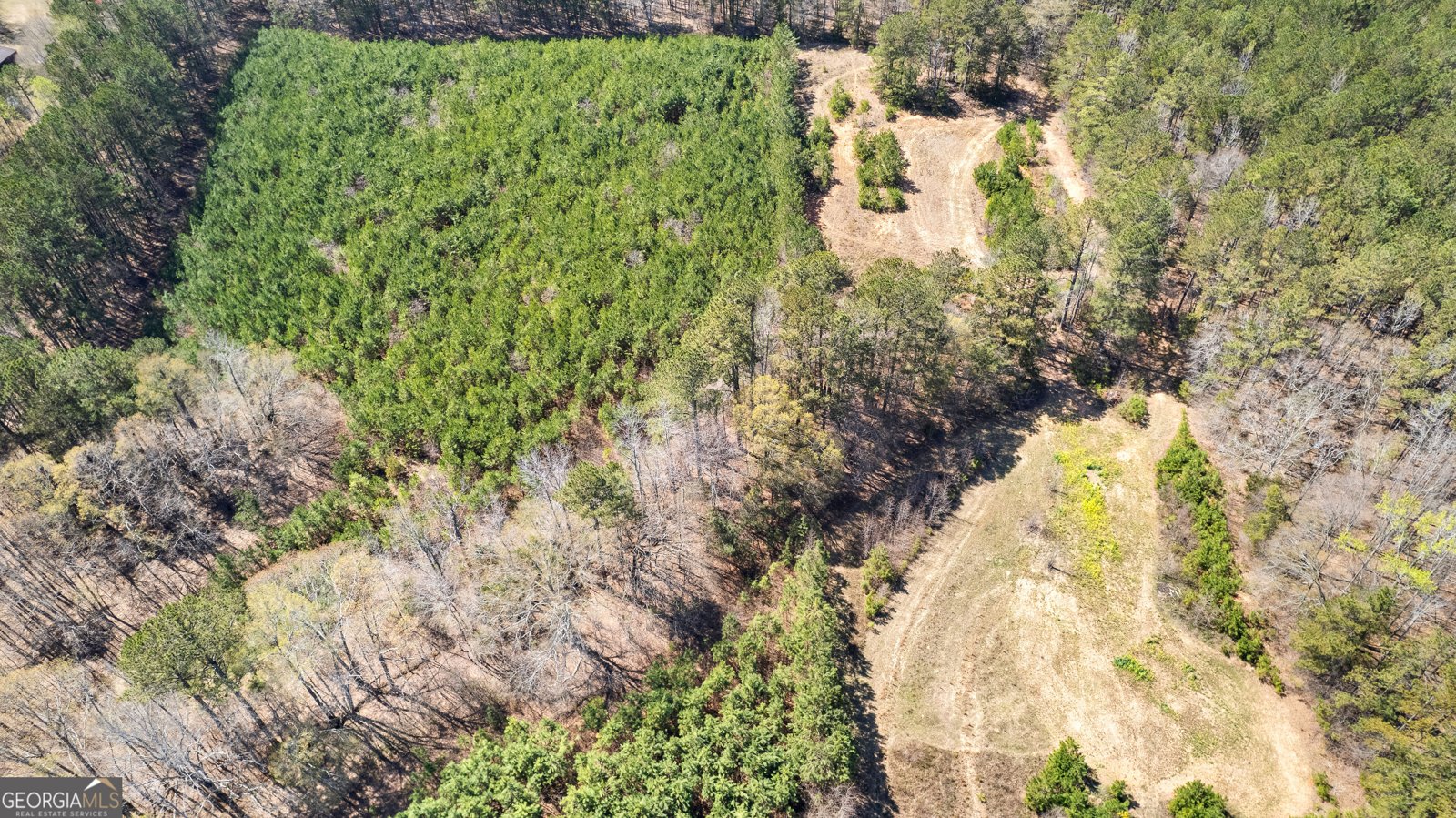 461 Old Jackson Road McDonough - 38