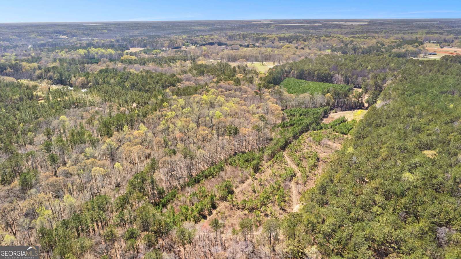 461 Old Jackson Road McDonough - 41