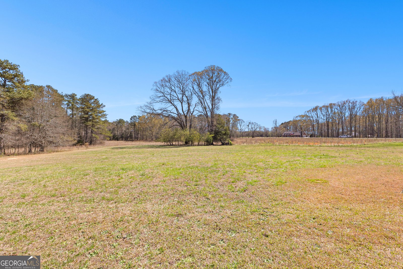 461 Old Jackson Road McDonough - 5