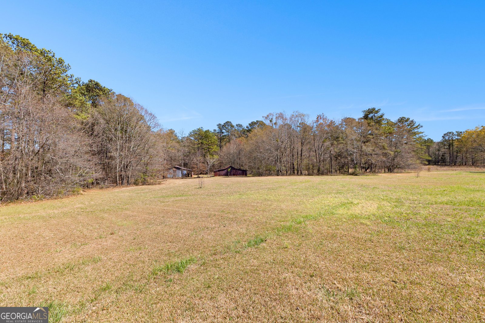 461 Old Jackson Road McDonough - 7