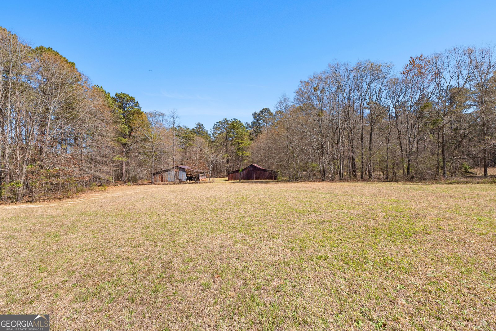 461 Old Jackson Road McDonough - 8