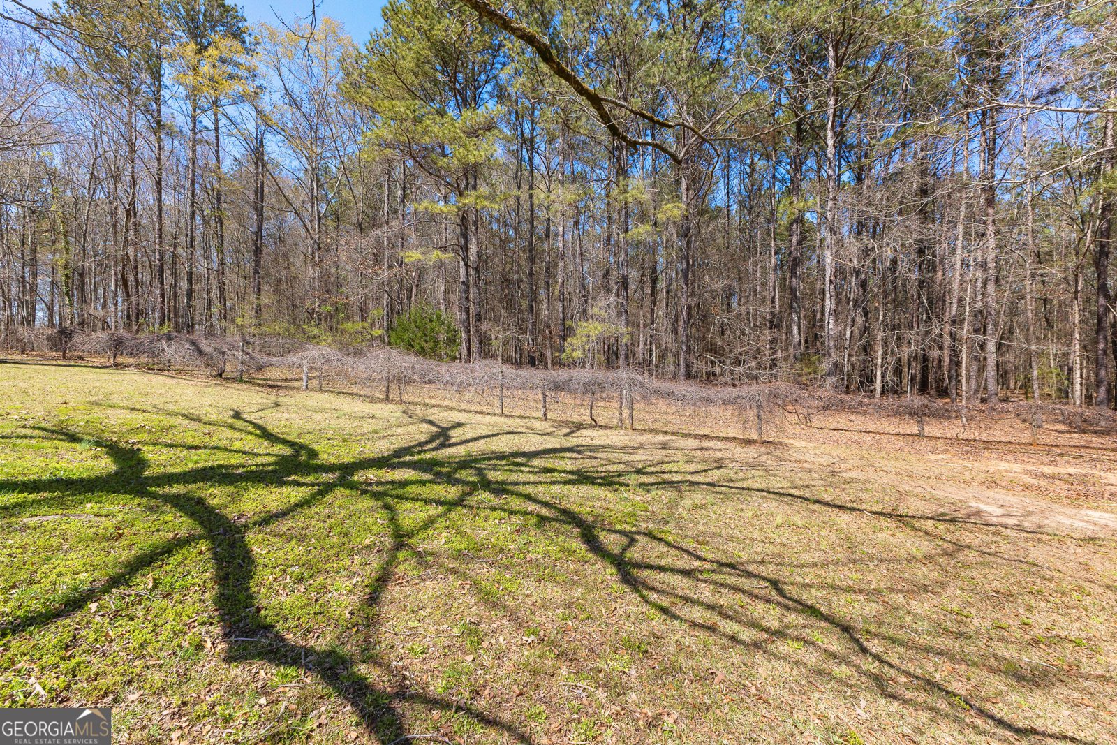 461 Old Jackson Road McDonough - 9