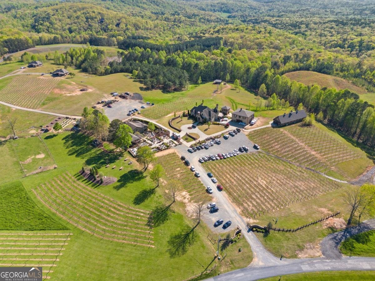 1016 Twisted Oak Road Talking Rock - 44