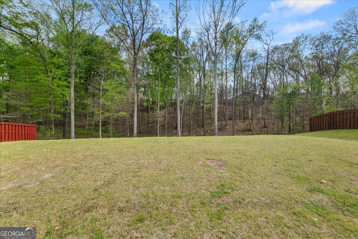 60 Silver Peak Drive Covington - 42