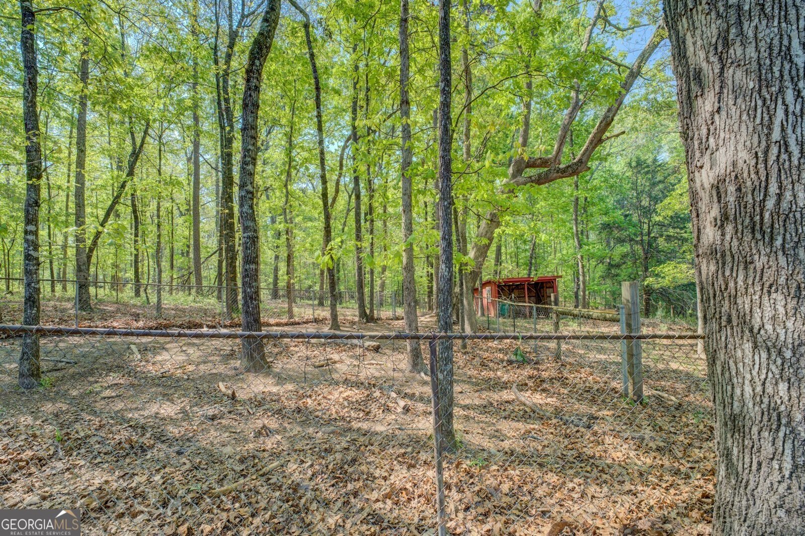 1341 Christian Circle Conyers - 10