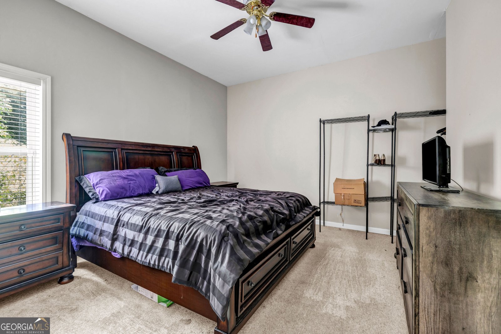 803 Baugh Springs Lane Lawrenceville - 29