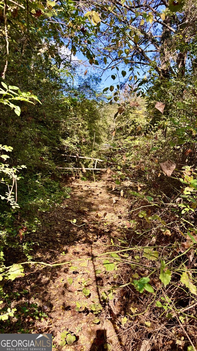 2450 Highway 155 McDonough - 30