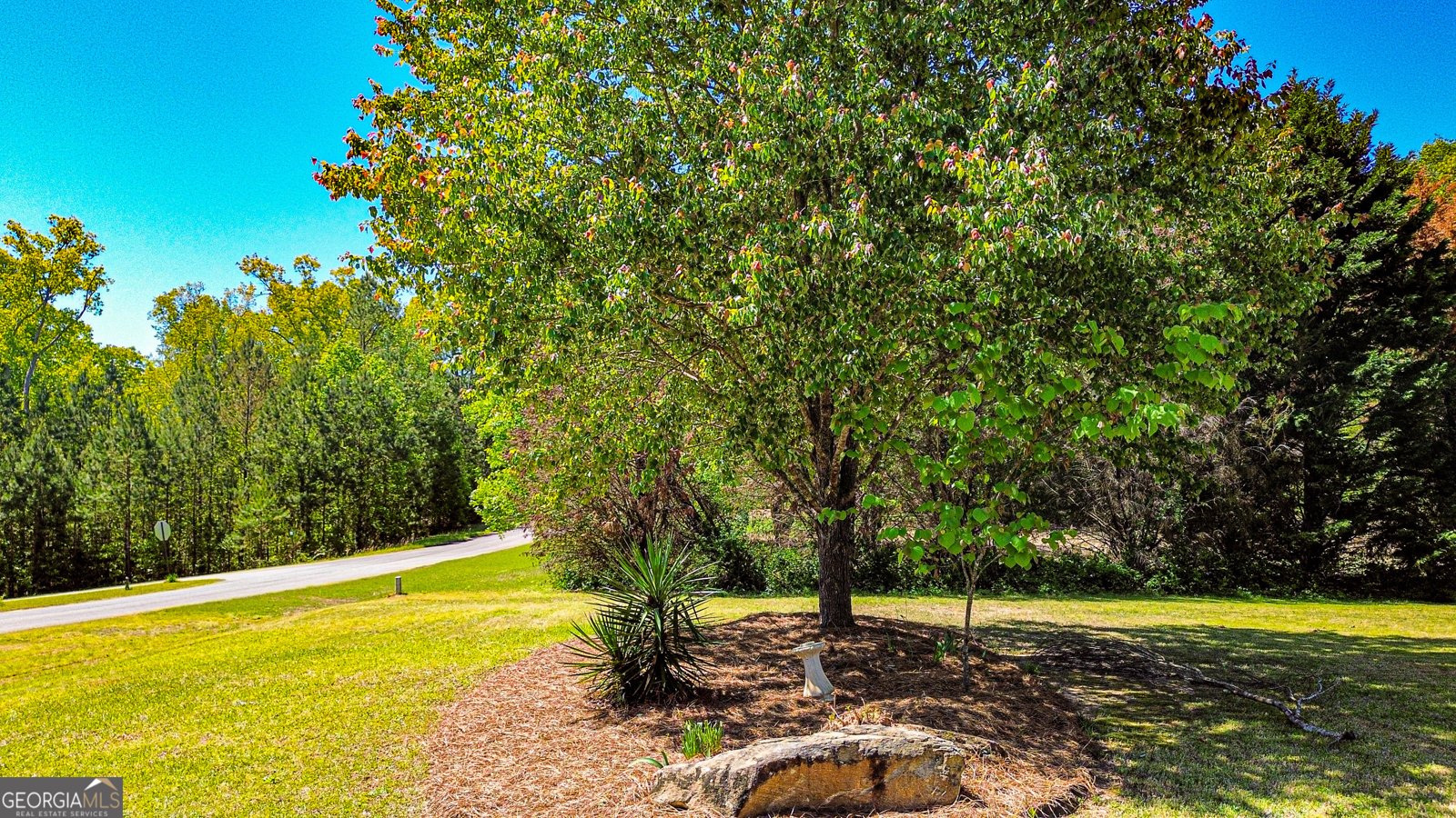 152 Rivers Edge Drive Forsyth - 107
