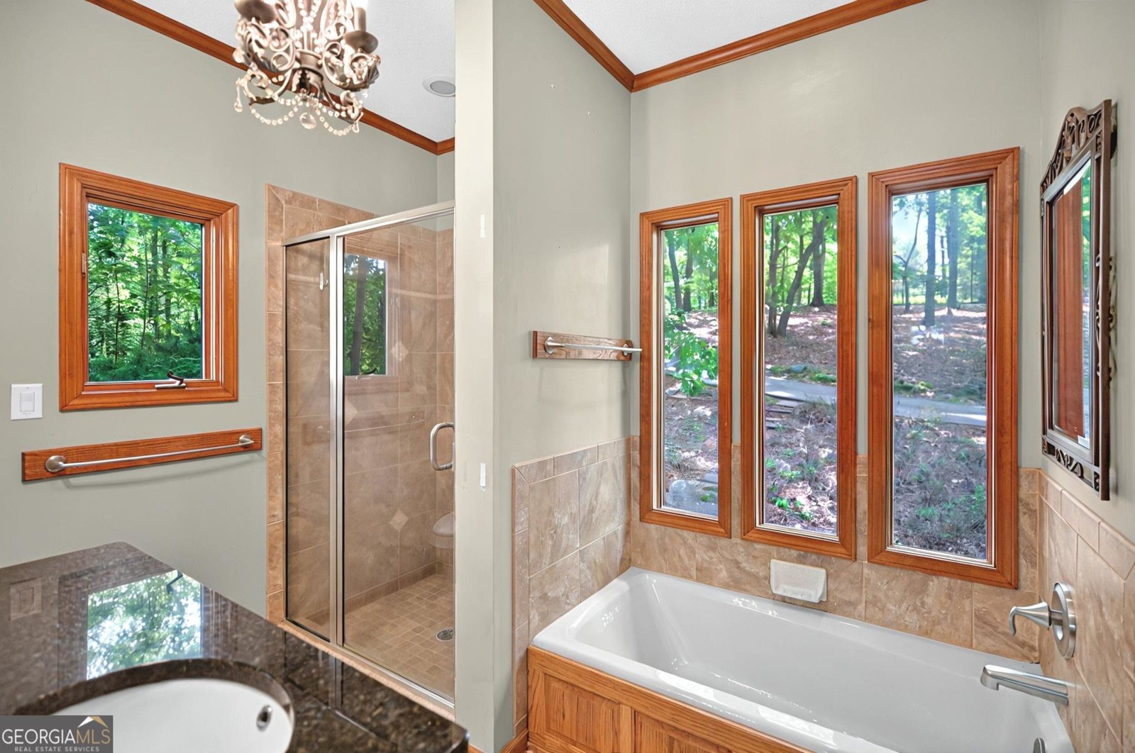 234 Chandlers Ferry Drive Hartwell - 15
