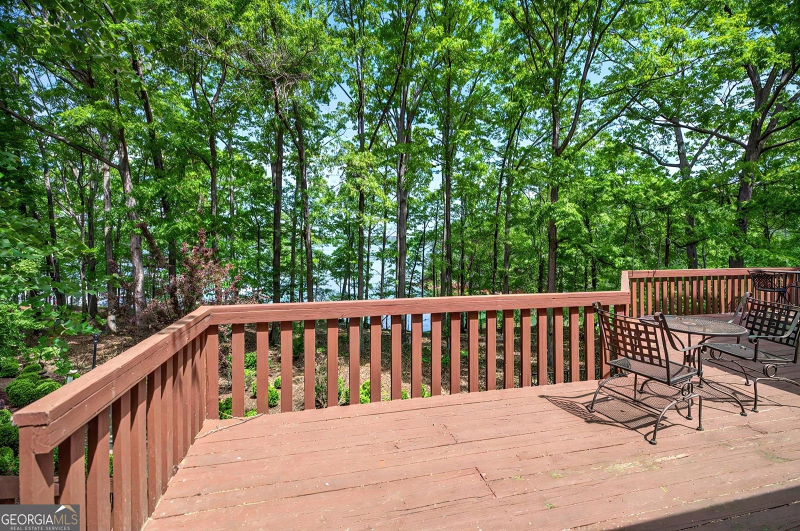 234 Chandlers Ferry Drive Hartwell - 26