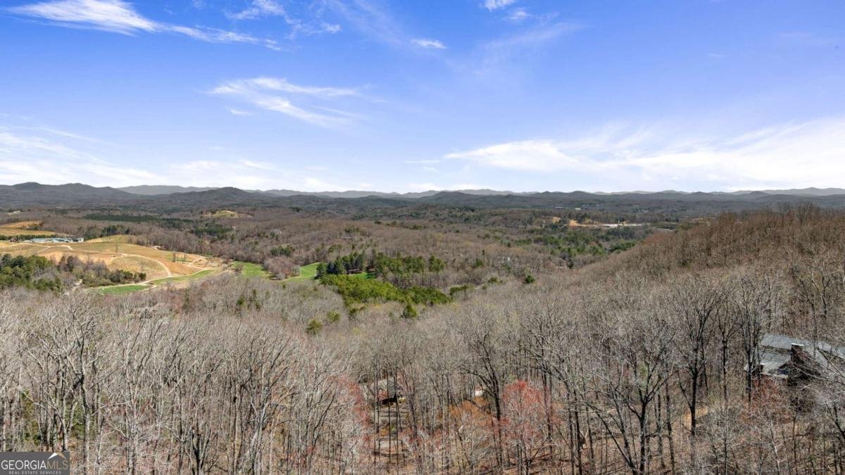 218 Chickadee Drive Blue Ridge - 74