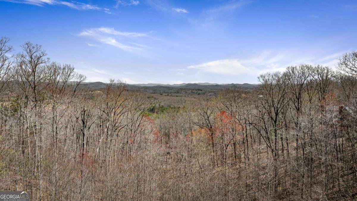 218 Chickadee Drive Blue Ridge - 75
