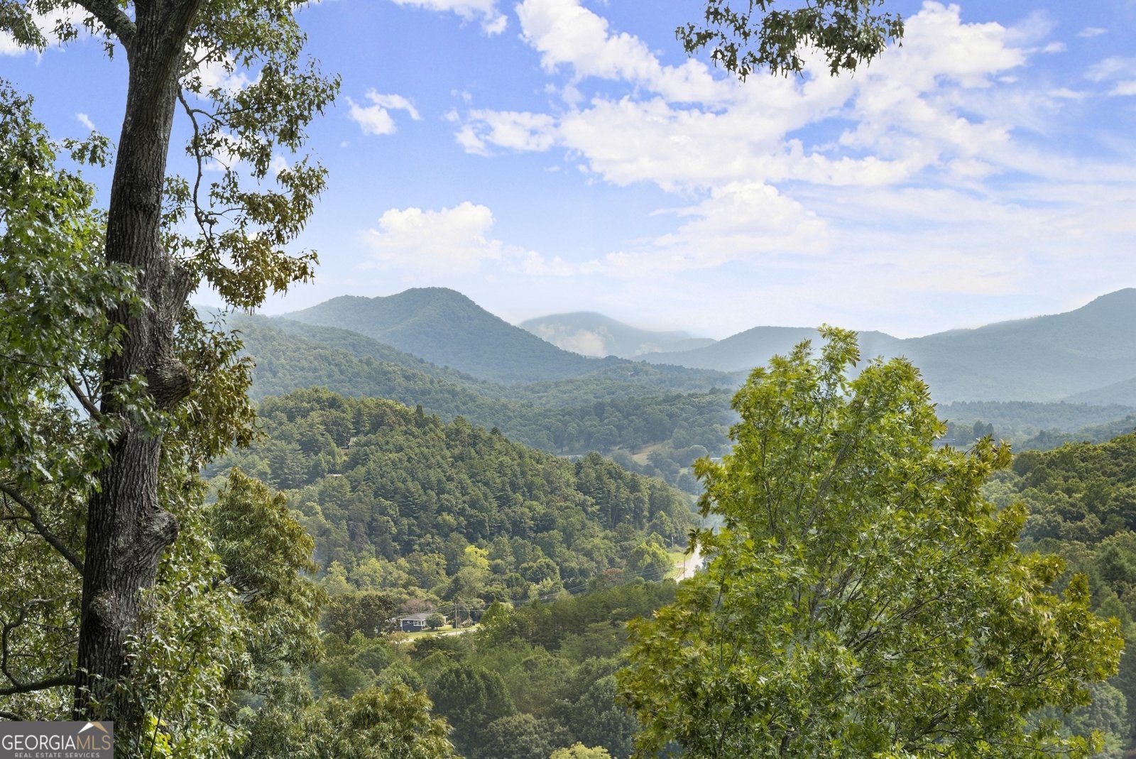1609 Clark Drive Hiawassee - 66