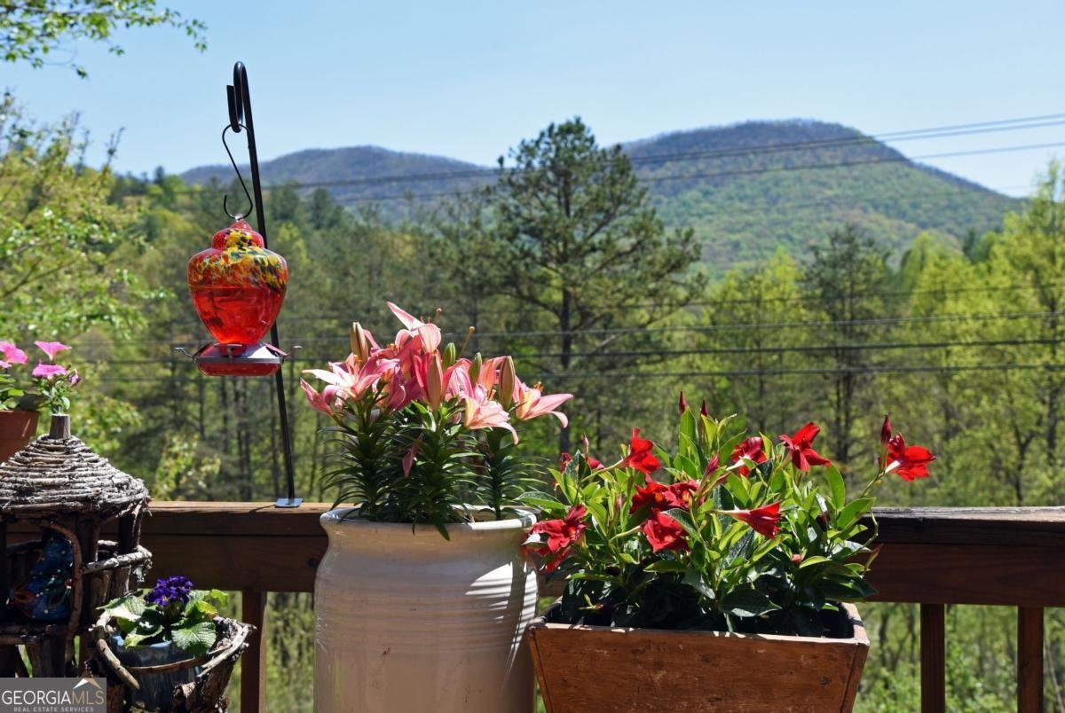 5629 Hwy 515 Blairsville - 3