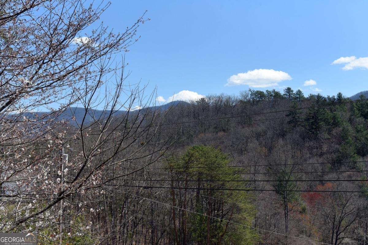 5629 Hwy 515 Blairsville - 33