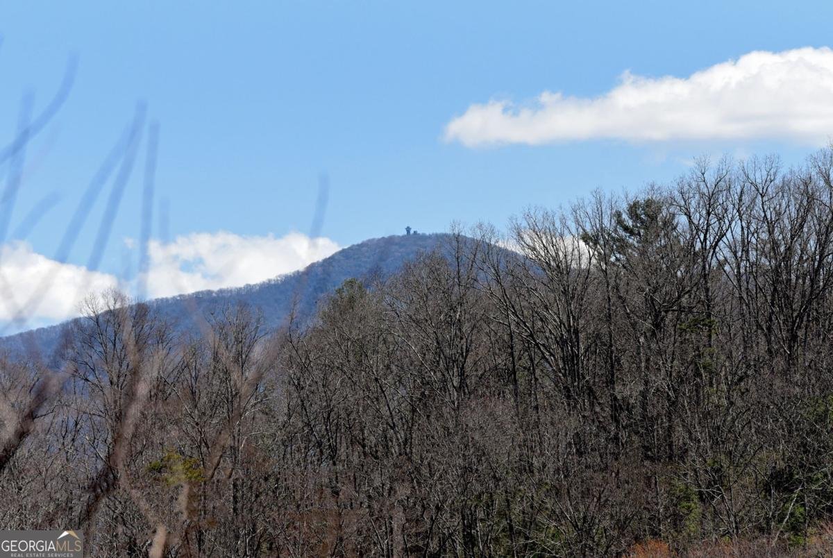5629 Hwy 515 Blairsville - 34