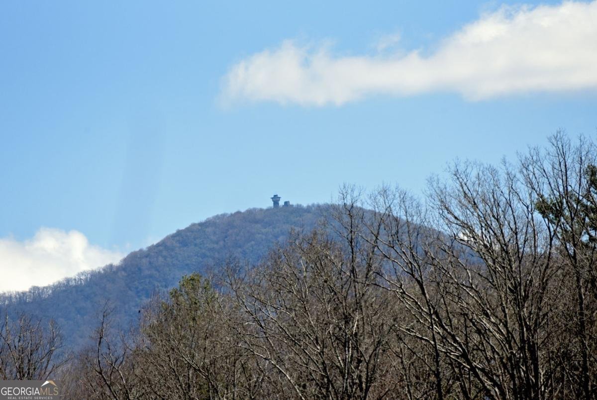 5629 Hwy 515 Blairsville - 35