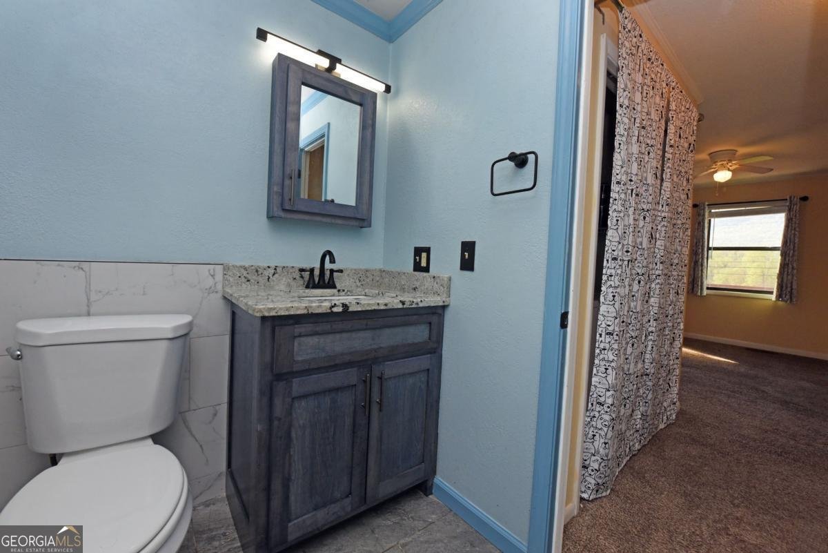 5629 Hwy 515 Blairsville - 60
