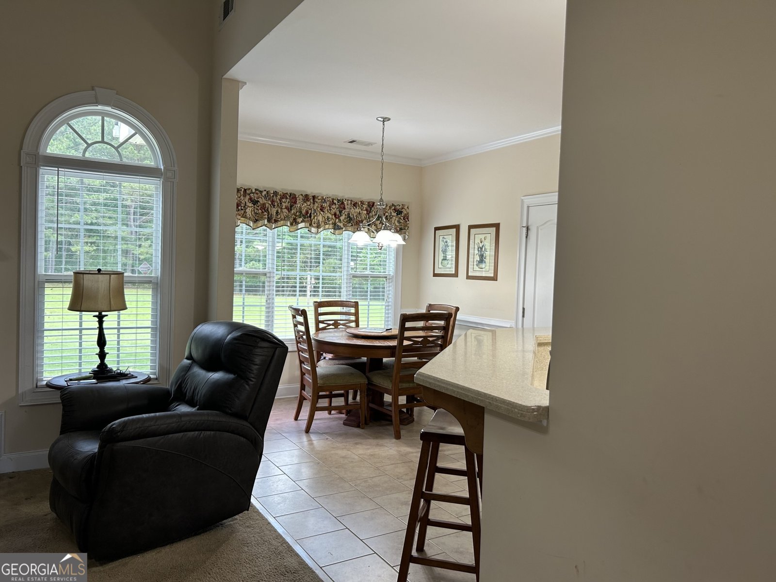 30 Scouts Ridge Drive Covington - 20