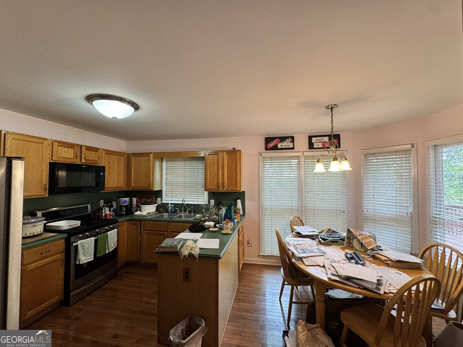 602 Springharbor Drive Woodstock - 18