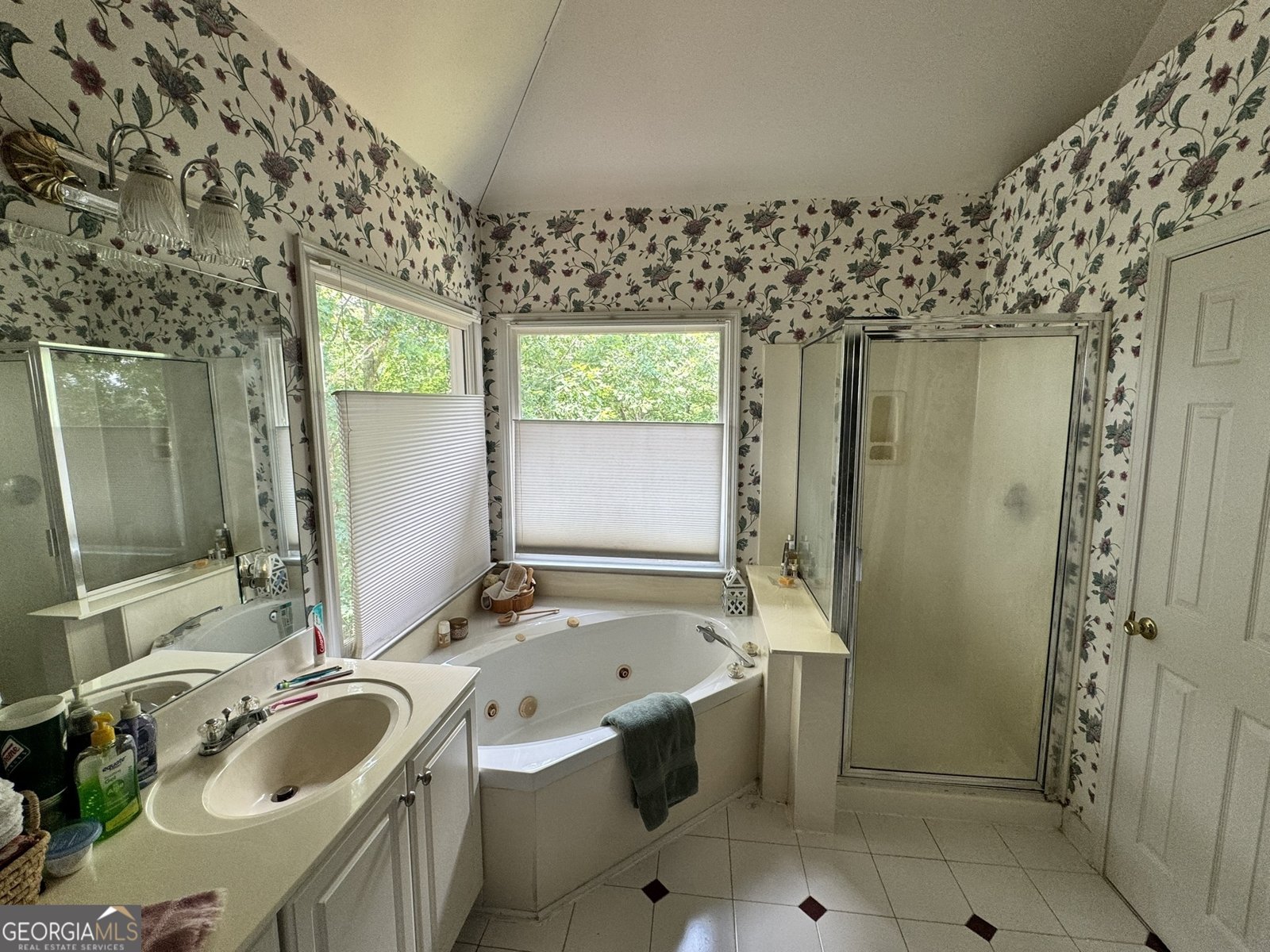 602 Springharbor Drive Woodstock - 21