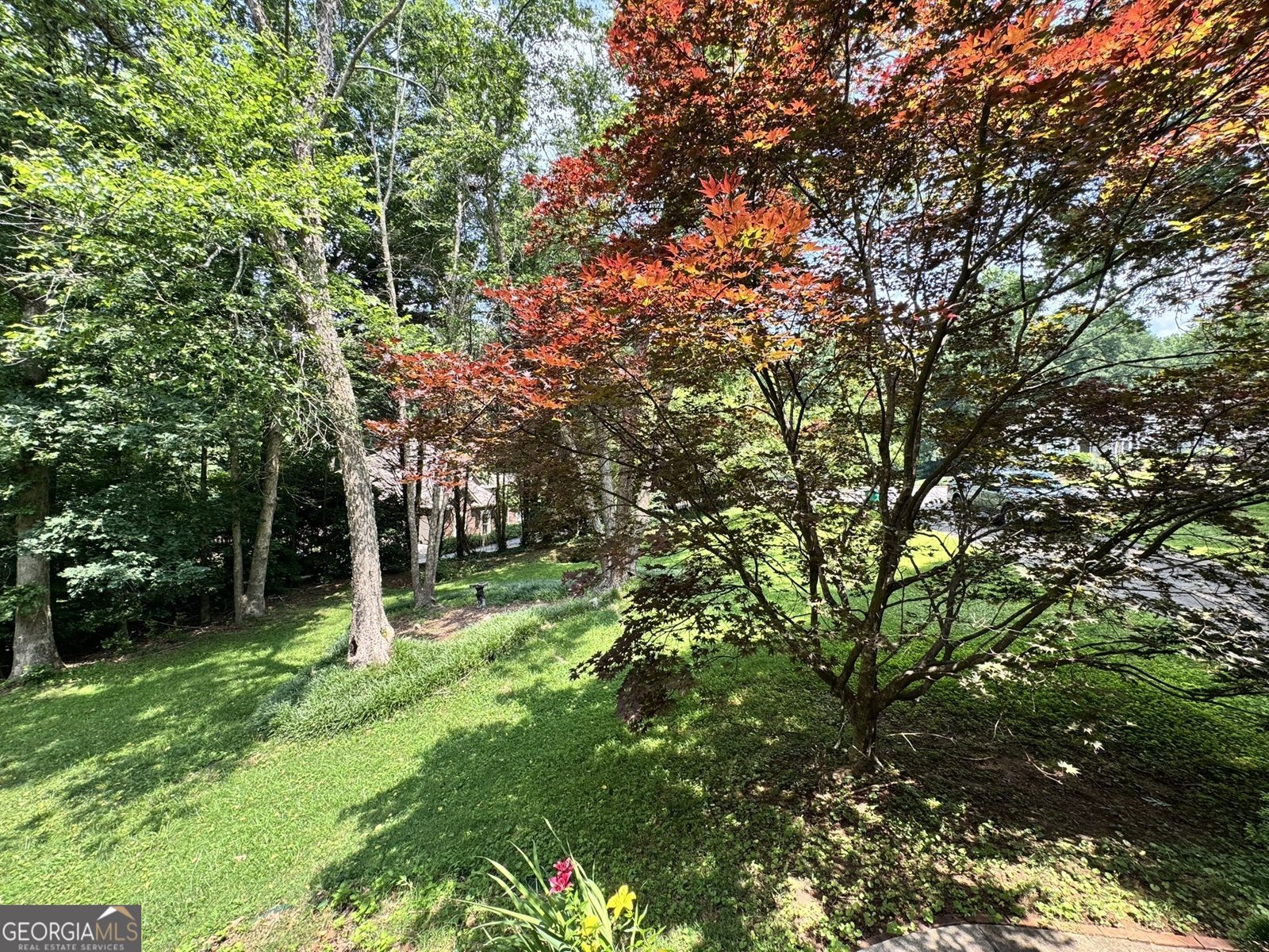 602 Springharbor Drive Woodstock - 7
