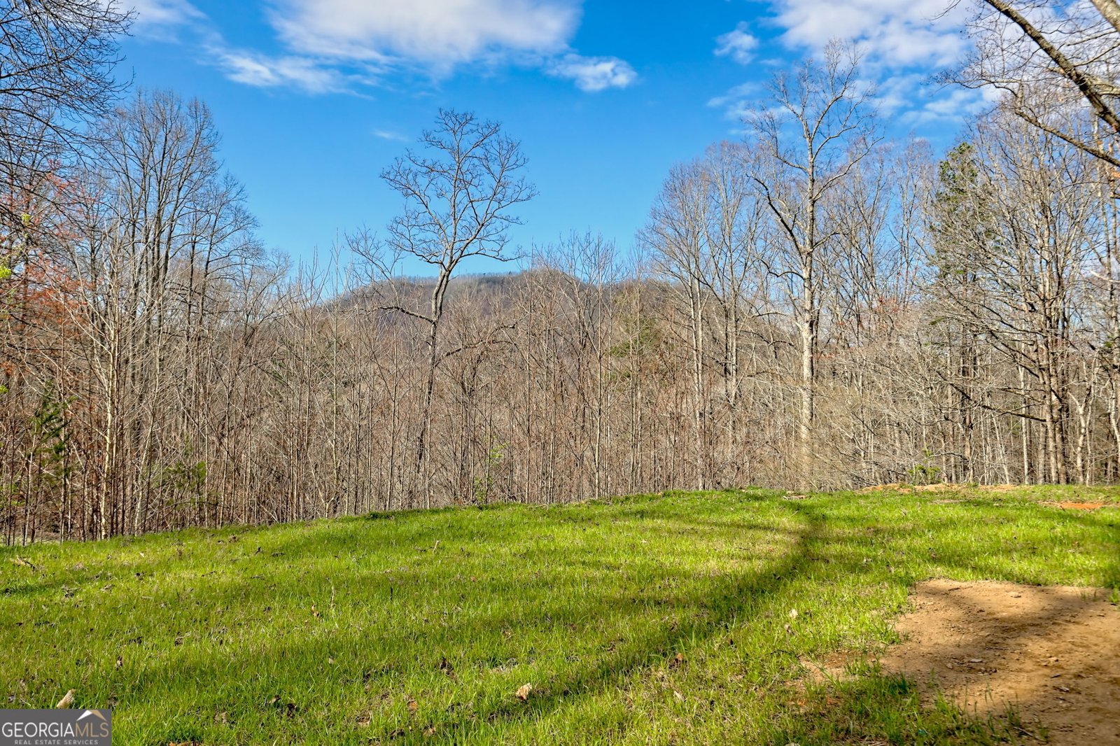 472 Hogsed Drive Hayesville - 68