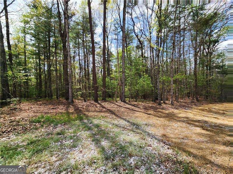 7203 Murphy Highway Mineral Bluff - 14