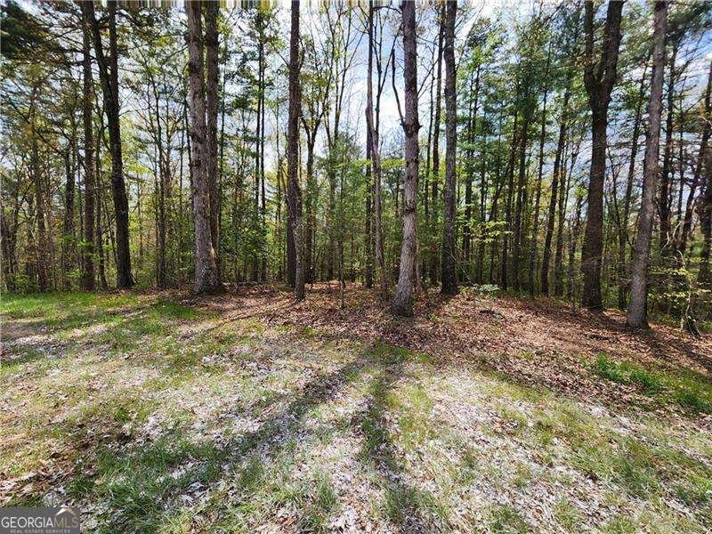 7203 Murphy Highway Mineral Bluff - 15