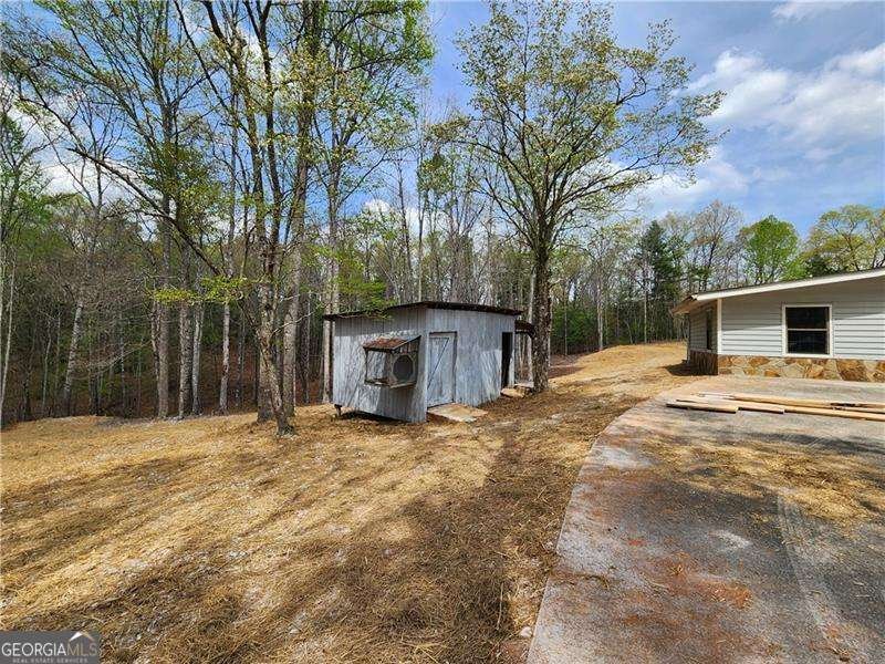 7203 Murphy Highway Mineral Bluff - 24