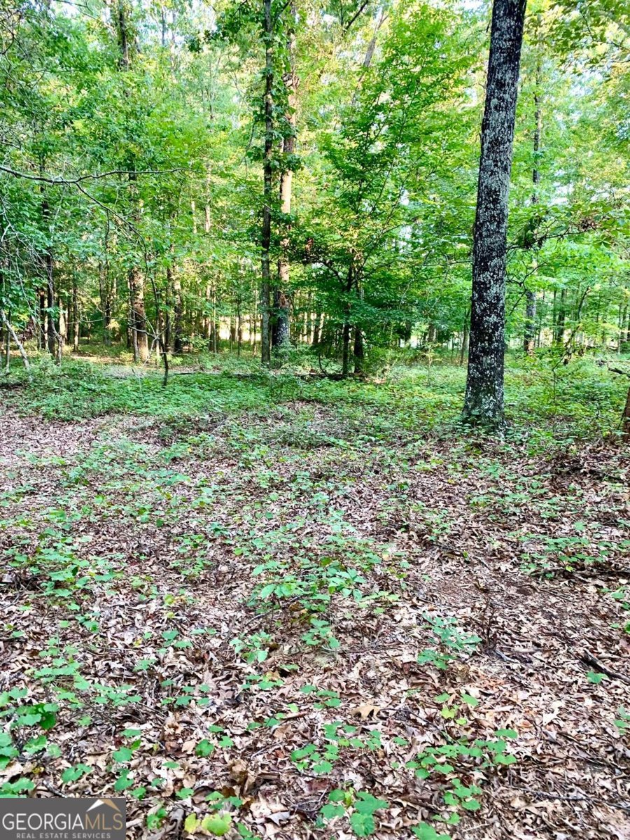 736 Archer Grove School Road Athens - 11