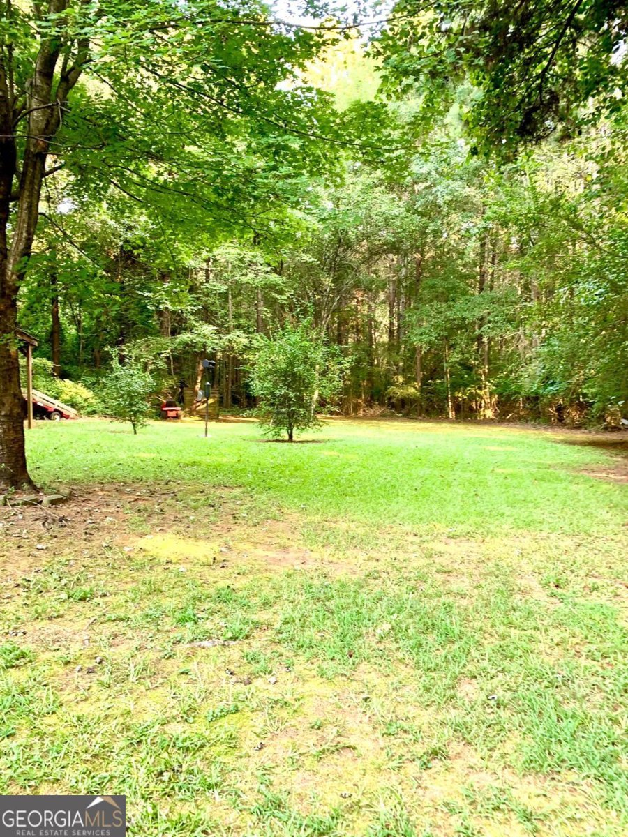 736 Archer Grove School Road Athens - 8