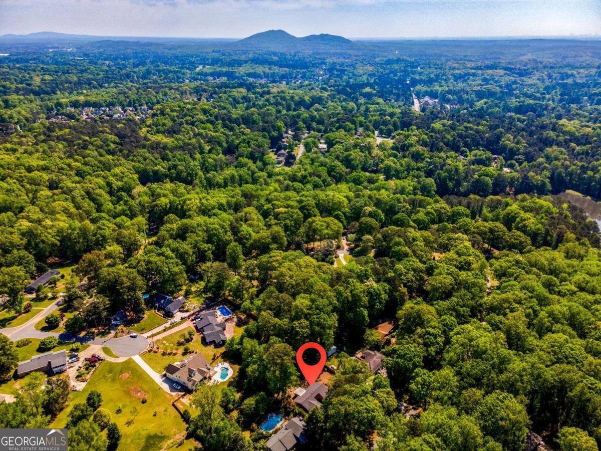 3290 Custer Lake Drive Marietta - 29