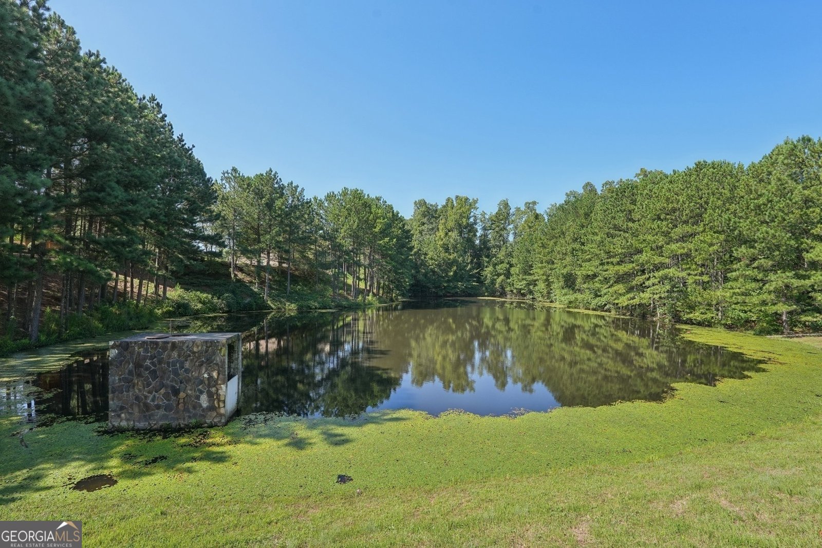 4430 Cedar Bridge Walk Suwanee - 19