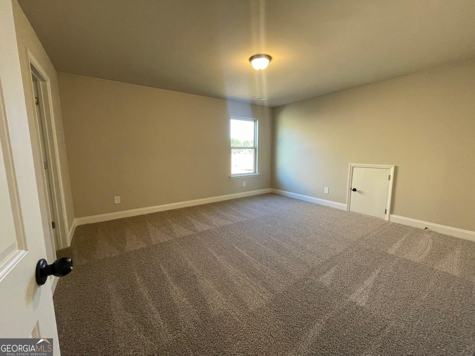 3708 Southfield Court Loganville - 22